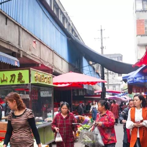 新都区规划片区，塑造未来城市新面貌